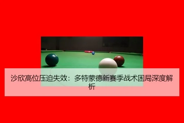 sha-xin-gao-wei-ya-po-shi-xiao-duo-te-meng-de-xin-sai-ji-zhan-shu-kun-ju-shen-du-jie-xi-2-933.jpg